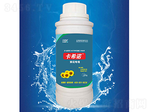 ��������-��ϣ�Z