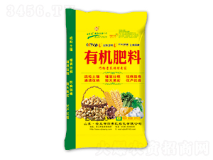 ������ЙC����-�ļ���