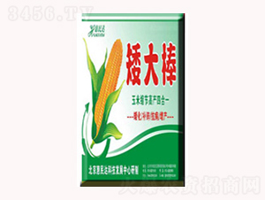 �~�����-�����-�����_