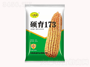 碩育173【4500?！?玉米種子-商道種業(yè)
