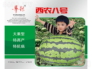 ���r(n��ng)��̖-���ϷN��-��Դ�r(n��ng)�I(y��)