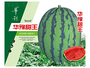 華豫甜王-西瓜種子-邢源農(nóng)業(yè)