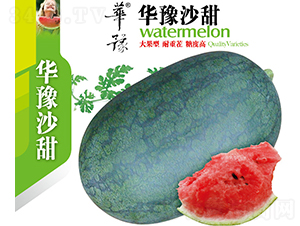 華豫沙甜-西瓜種子-邢源農(nóng)業(yè)