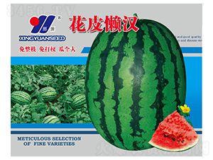 花皮懶漢-西瓜種子-邢源農(nóng)業(yè)