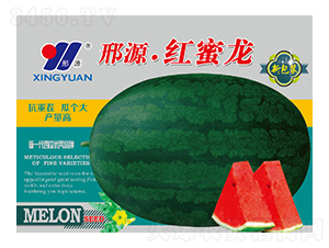 紅蜜龍-西瓜種子-邢源農(nóng)業(yè)