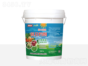 �����Ƅ�-һ������