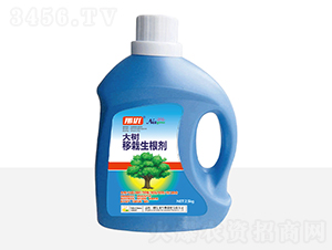 �������������-һ������