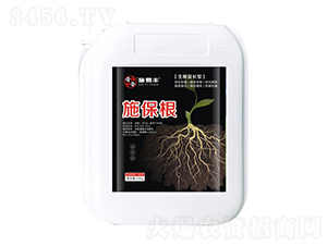 �������L��-ʩ����-ʩ���S