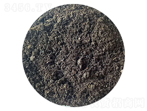 �l(f��)�ͼ���S-����r(n��ng)�I(y��)