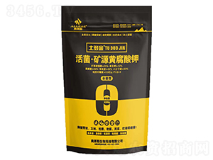 ������VԴ�S�����-�����-�W�R˹