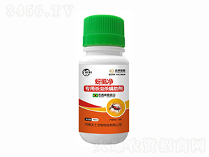 ��ʭ��-��������