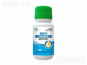 �׷����܄�-�ڷۜ�-��������