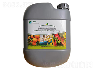 ��N΢����̵�����-�R��ʿ���ң�-��������