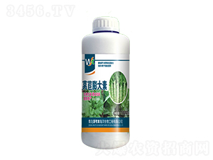 �n�������-�ֿ��S