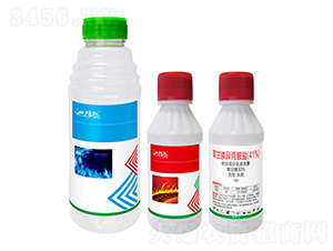 41%�ݸ�좮������}ˮ��-�Ͳ�˹