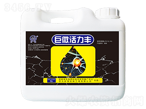 ��΢�����S-��������