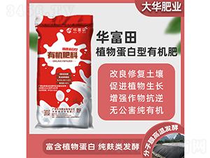 ֲ�ﵰ�����ЙC����-�A����-���A�ʘI(y��)