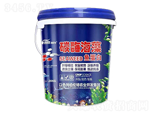 ̼ø�����~����-������