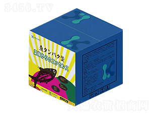 10kg�ձ��M���~����-������