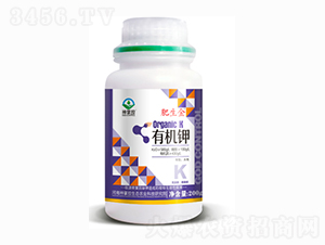 �ЙC�-������-���ƿ�