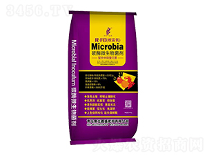 R-FO������̼ø΢�������-��Ԫ��ʢ