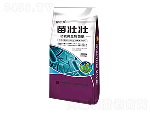 ����΢�������-��щ�-�ڱ���