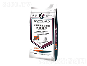 20kg����Ԫ��ˮ�ܷ�20-20-20+TE-�ڱ���