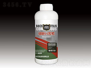 ��(x��)��������-һ������(l��i) 