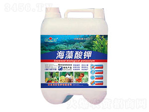 �������-����-����