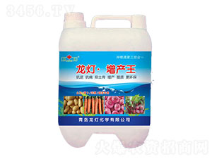 �������a(ch��n)��-����