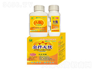 ���o�n-С����ϲ����-�ɰ�����