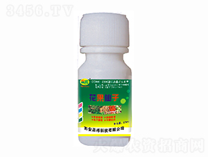 ��������-�ɰ�����