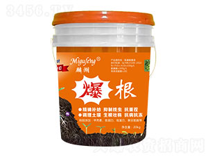 ����-�������