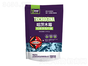 ����ľù-������