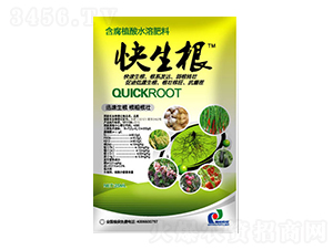 ����ֲ��ˮ�ܷ���-������-ِ�����