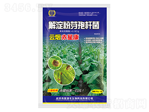 �����ѿ�ߗU��-�Ɵ����ǿ�-�����S