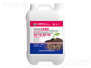 ��Ԫ��(f��)��Һ�w��-̼ø�����S-ʩ�۸�