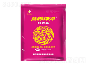 �I�B(y��ng)ը���t����-ِ���r(n��ng)�I(y��)