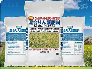 ��(f��)�����-����ʘI(y��)