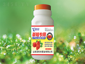 ��ݮ����-�ٿ��S