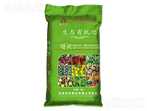 ���B(t��i)�ЙC(j��)��-���f�ʘI(y��)