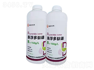 �Ҹ�������-�����f�S