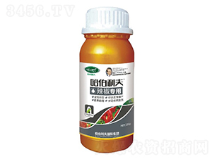 ��������-��������