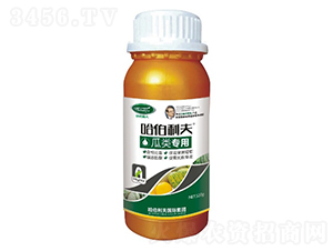 �����-��������