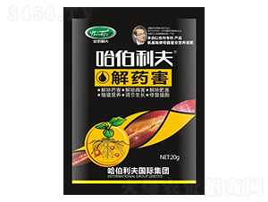 ��ˎ��-��������