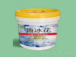 ���؄�-������-ֲ���S