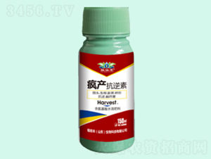 �����S�a(ch��n)��-ֲ���S