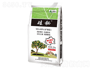 ���صV����-����ʘI(y��) 