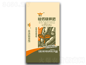 ���}�V⛷�-����