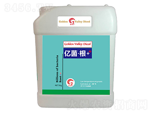 �|������-��ȶ�